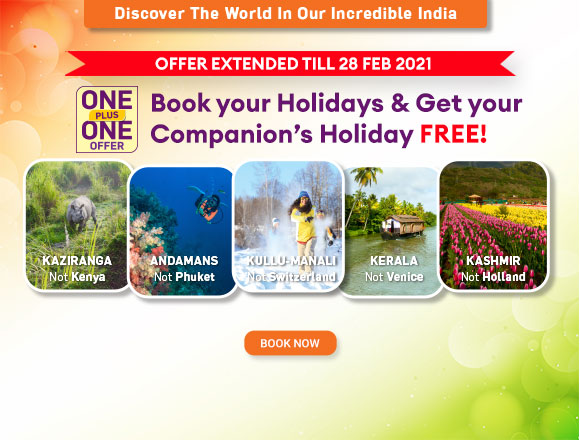 Indian Holiday Festival