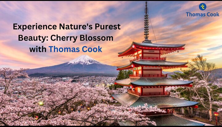 Explore Japan Cherry Blossom with Thomas Cook