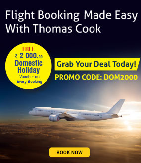 add baggage to thomas cook flight