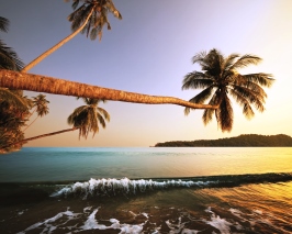 Customizable - Wow Andaman