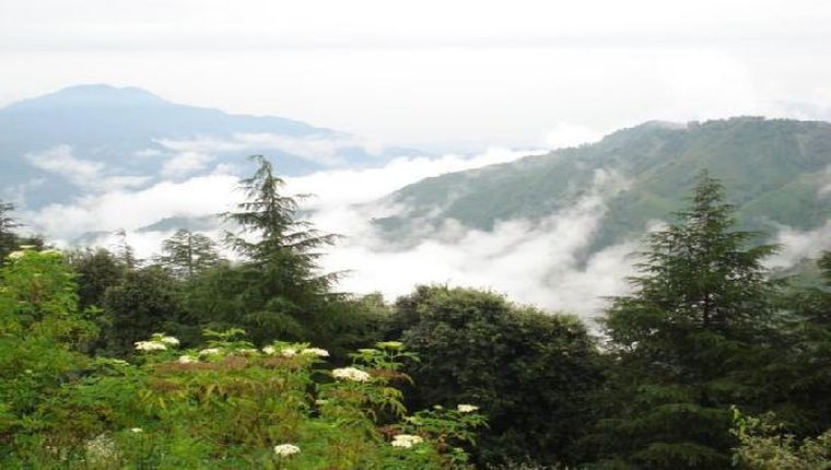 Chail -Top 5 Places for Women Travellers in India