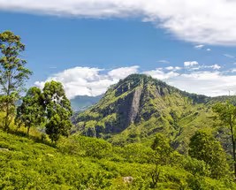 Sri Lanka - Buy 1 Get 1 Free
