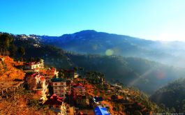 Shimla Kufri Chail With Kasauli - Weekend Getaway