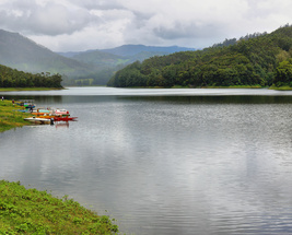 Kerala - Munnar Calling