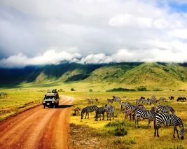 Best of Kenya and Tanzania with Air