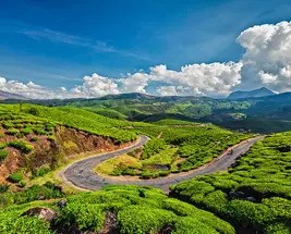 Simply Kerala