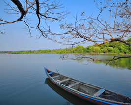 Vibrant Kerala