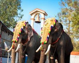 Incredible Kerala