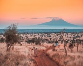 Kenyan Discovery (Summer 2024)