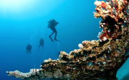 Honeymoon - Amazing Moments Andaman