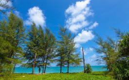 Honeymoon - Luxury Amazing Moments Andaman