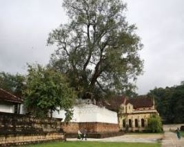 Sri Lanka The Wonder Of Asia Fully Loaded 