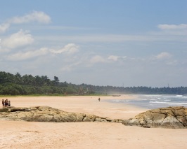 Sri Lanka - Dambulla Kandy Nuwaraeliya Bentota With Colombo with Flexi Flights