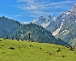 Customizable Experience Kashmir with Sonmarg Excursion