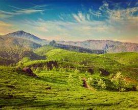 Backwater and Beaches of Kerala with Taj Hotels