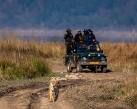 Uttarakhand - Nainital Corbett with Mussoorie 6N