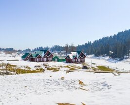 Exotic Kashmir with Gulmarg 