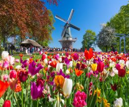 European Getaway (Summer 2024)