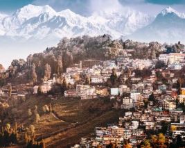 North East Delight With Pelling