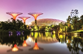Asian Dhamaka With 2 Nights Resorts World Cruise (May - Sept 2024)