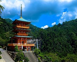 Japan Extravaganza (Summer 2024)