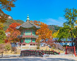 Korea Extravaganza (Summer 2024)