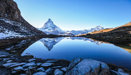 Swiss Surprise (Summer)