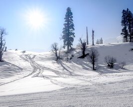 Customizable Stunning Kashmir With Gulmarg