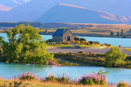 Magnificent New Zealand
