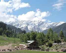 Himachal Sustainable Holiday