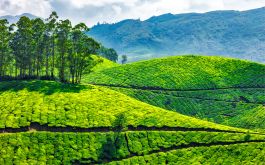 Explore Kerala With Taj Hotels