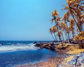 Beaches of  Kerala With Taj Hotels