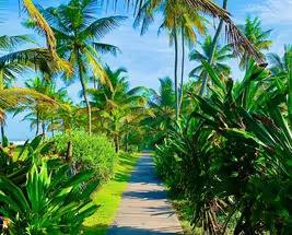 Beaches of  Kerala With Taj Hotels