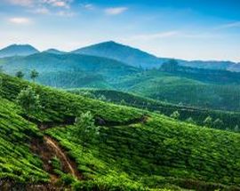 Wonders of Kerala with Taj Hotels
