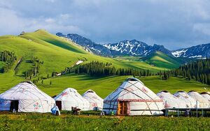 Discover Mongolia