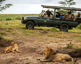 Kenyan Extravaganza Migration (Summer)
