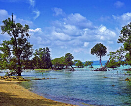 Durga Puja Special - Andaman Fully Loaded With Neil Day Trip 