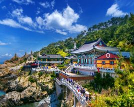 Exciting - Seoul With Busan