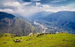 Luxury - Shimla Manali