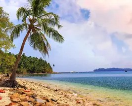 Andaman - Buy 1 Get 1 Free