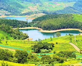 Coorg and Mysore - Buy 1 Get 1 Free