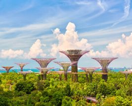 Highlights Of Singapore - Winter