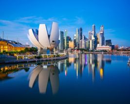 Highlights Of Singapore With Cruise - Winter
