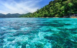Andaman Saver Flight Inclusive