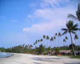 Magical Asia With Bintan - Winter