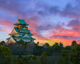 Japan Extravaganza - Air India Special