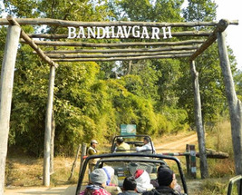Tiger Trail - Bandhavgarh, Kanha, and Pench