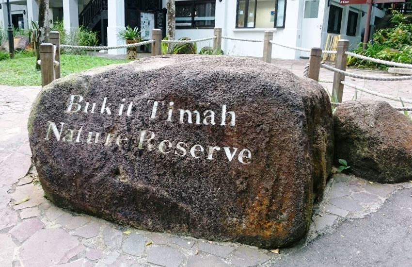 Bukit Timah Nature Reserve | Places to visit in Singapore - Thomas Cook