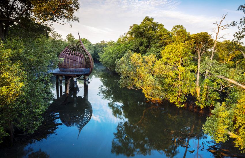 Sungei Buloh Nature Park | Singapore Tourism - Thomas Cook