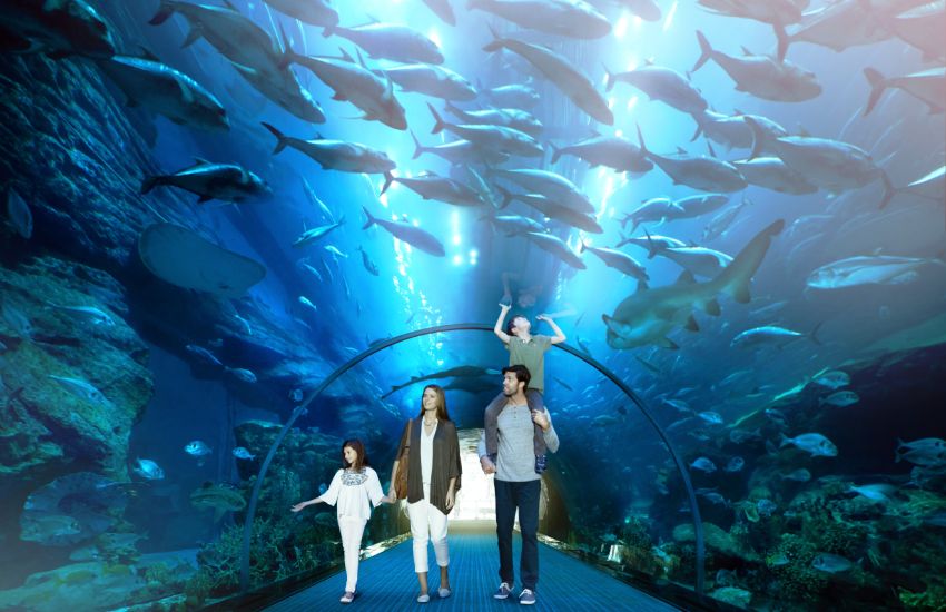 The Houston aquarium has more than 300 species of life from around the  world.